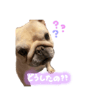 フレブルの大吉くん(パステルカラー)（個別スタンプ：8）