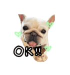 フレブルの大吉くん(パステルカラー)（個別スタンプ：9）