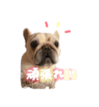 フレブルの大吉くん(パステルカラー)（個別スタンプ：14）