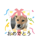 ちゃこ、（個別スタンプ：2）