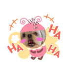 のーのライフ4（個別スタンプ：4）