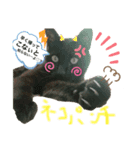 もゆさん時々おまみさん笑（個別スタンプ：8）