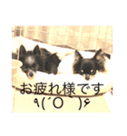 ジョゼとリゼとリマ（個別スタンプ：5）