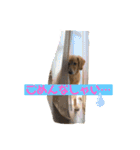 えるきら（個別スタンプ：1）