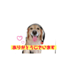 えるきら（個別スタンプ：7）