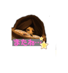 えるきら（個別スタンプ：12）