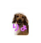 えるきら（個別スタンプ：13）