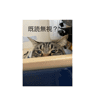 どんみーII（個別スタンプ：22）