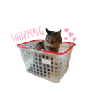 のあゆずスタンプ（個別スタンプ：34）