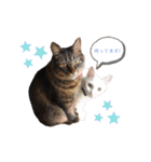 のあゆずスタンプ（個別スタンプ：39）