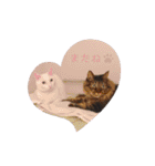 のあゆずスタンプ（個別スタンプ：40）
