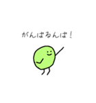 みどりいろのまめ（個別スタンプ：13）