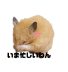 関西弁むぎちゃん（個別スタンプ：1）
