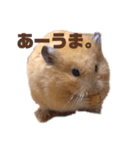 関西弁むぎちゃん（個別スタンプ：2）