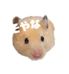 関西弁むぎちゃん（個別スタンプ：5）