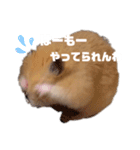関西弁むぎちゃん（個別スタンプ：6）