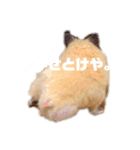 関西弁むぎちゃん（個別スタンプ：7）