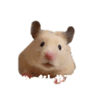 関西弁むぎちゃん（個別スタンプ：8）