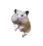関西弁むぎちゃん（個別スタンプ：9）