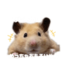 関西弁むぎちゃん（個別スタンプ：10）