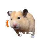 関西弁むぎちゃん（個別スタンプ：14）