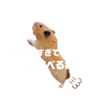 関西弁むぎちゃん（個別スタンプ：15）