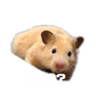 関西弁むぎちゃん（個別スタンプ：16）