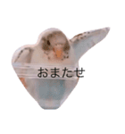 白ハルふーちゃんスタンプ（個別スタンプ：4）
