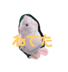 白ハルふーちゃんスタンプ（個別スタンプ：20）