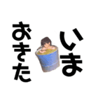 フクノエすたんぽ1（個別スタンプ：5）