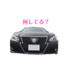 せいくんマイスタンプ（個別スタンプ：1）