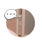 みゃうちゃんスタンプ2（個別スタンプ：14）