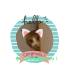 うちのちーずちゃん！（個別スタンプ：7）