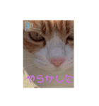 げんた(仮名)スタンプ（個別スタンプ：2）