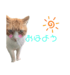 げんた(仮名)スタンプ（個別スタンプ：7）