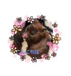ohana-t（個別スタンプ：2）