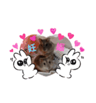 ohana-t（個別スタンプ：10）