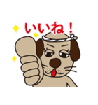 タツ犬くんスタンプ（個別スタンプ：3）