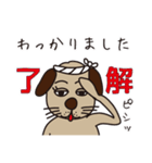 タツ犬くんスタンプ（個別スタンプ：13）