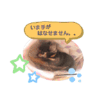 チワワのお返事スタンプ（個別スタンプ：16）