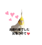 ご主人様のお帰りを願うスタンプ（個別スタンプ：3）