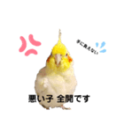 ご主人様のお帰りを願うスタンプ（個別スタンプ：7）