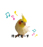 ご主人様のお帰りを願うスタンプ（個別スタンプ：8）