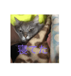 ちー＆みー（個別スタンプ：4）