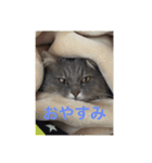 ちー＆みー（個別スタンプ：8）