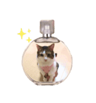 とらきち♡（個別スタンプ：5）
