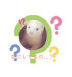 まっしろフェレットのはなちゃん（個別スタンプ：16）