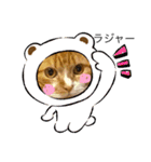 うにじる にゃんこ3 日常（個別スタンプ：36）
