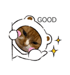 うにじる にゃんこ3 日常（個別スタンプ：37）