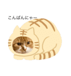 うにじる にゃんこ3 日常（個別スタンプ：40）